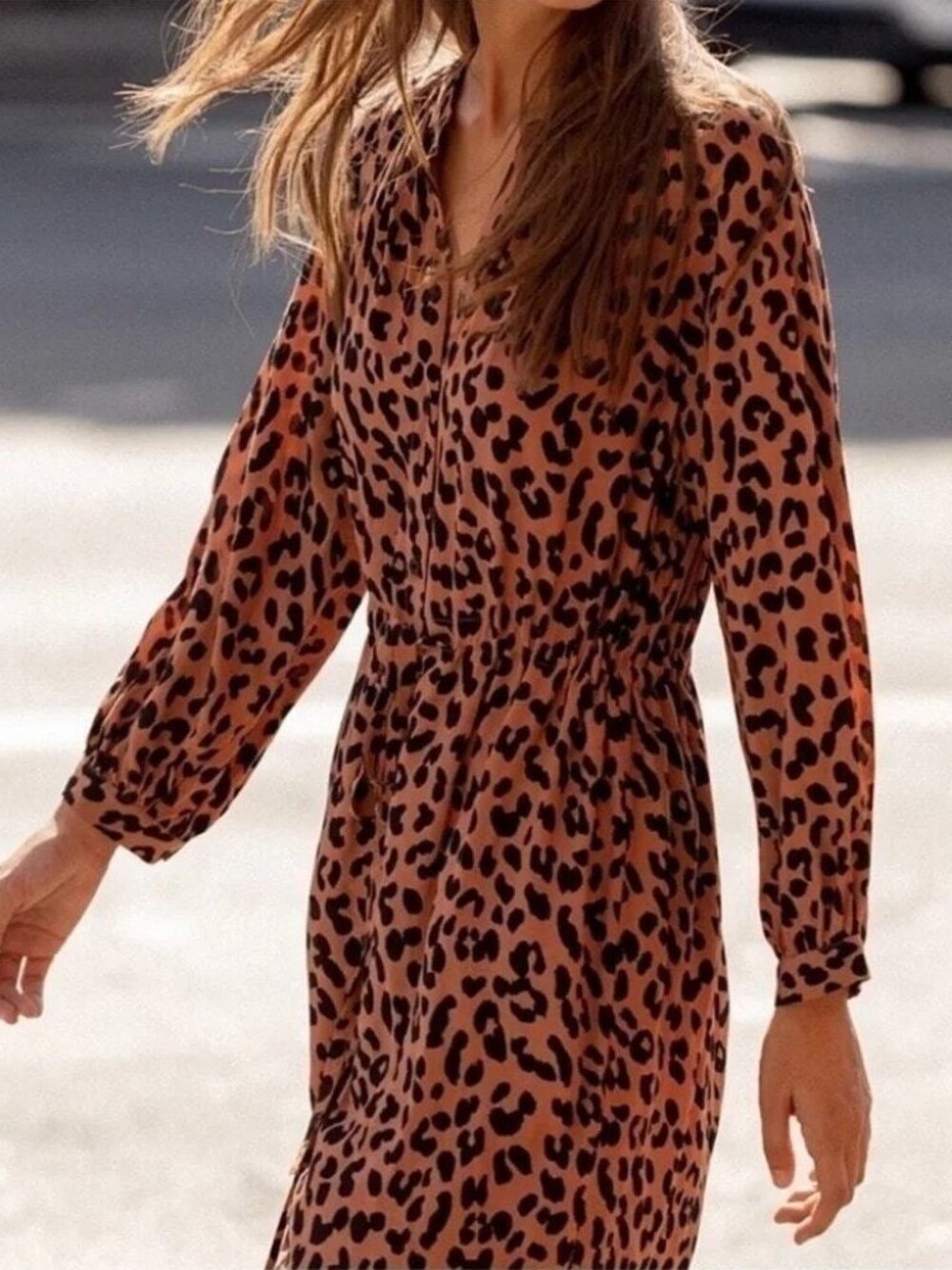 Rails Bella Dress Jaguar Print